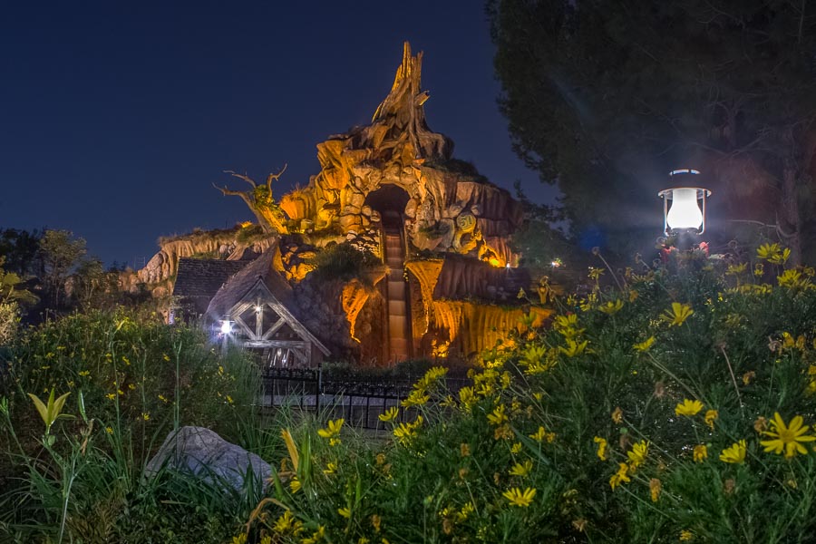 Splash Mountain 50th
